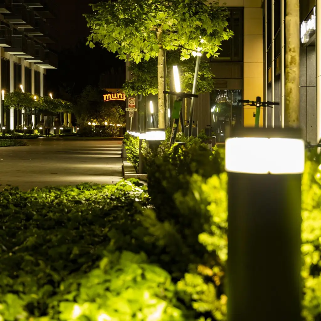 landscape lighting in Brandon - 10 Tampa Landscape Lighting Installation